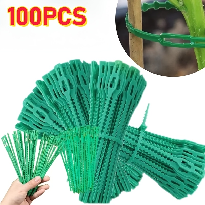 100PCS reusable adjustable pla - Vine Climbing Plastic review and price