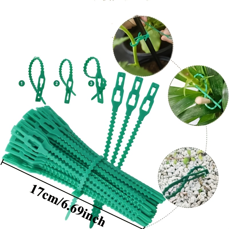 100PCS reusable adjustable pla - Vine Climbing Plastic review and price