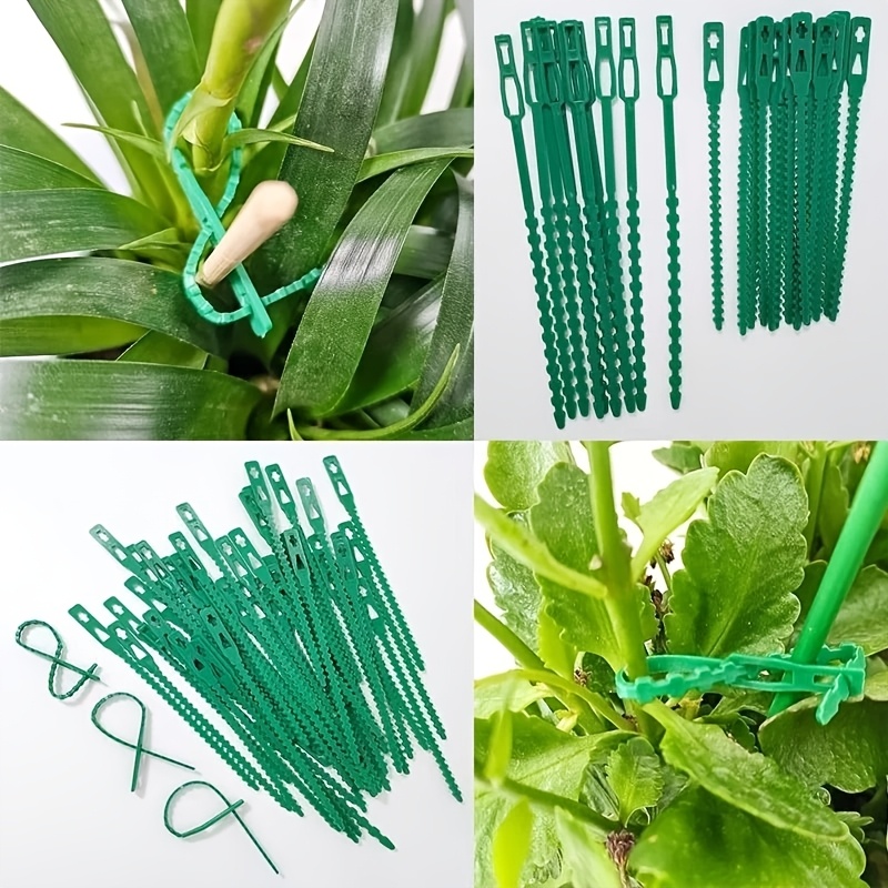 100PCS reusable adjustable pla - Vine Climbing Plastic review and price