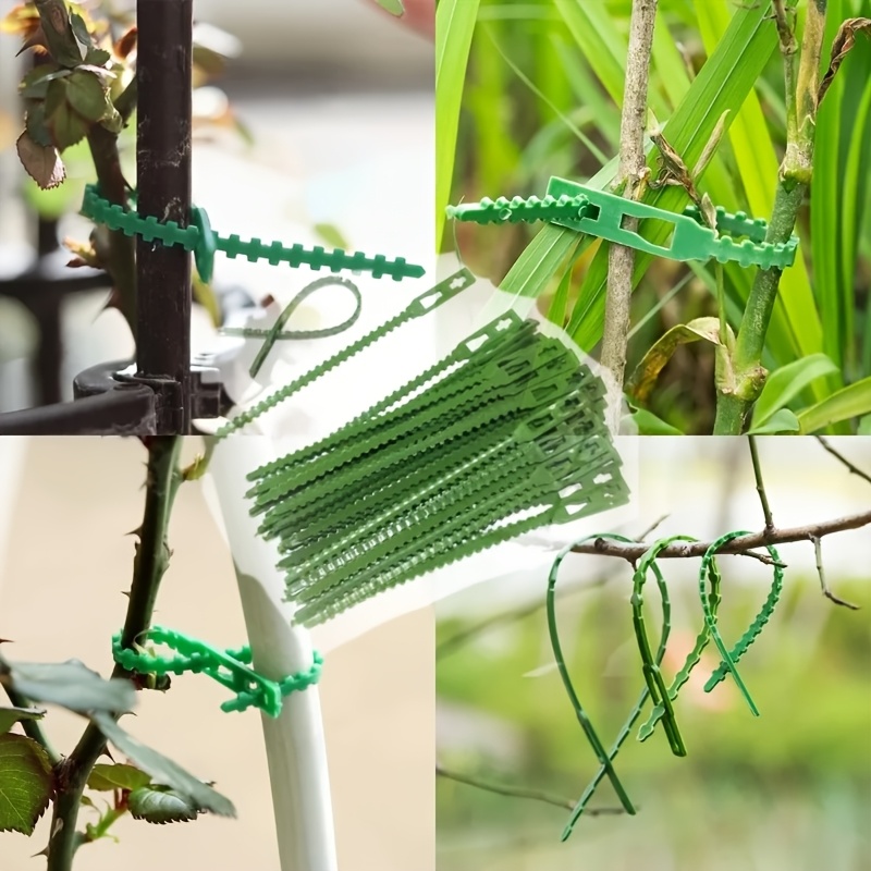 100PCS reusable adjustable pla - Vine Climbing Plastic review and price