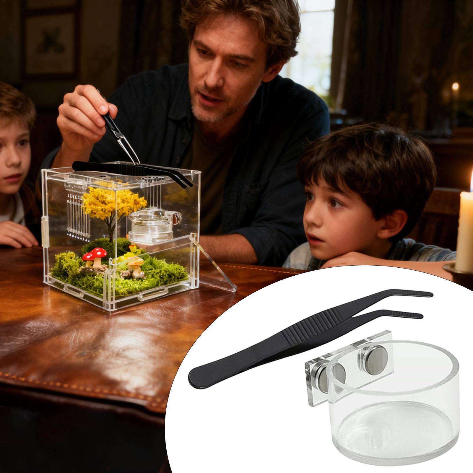 Magnetic Feeding Dish For Jump - Water Dish Reptile review and price