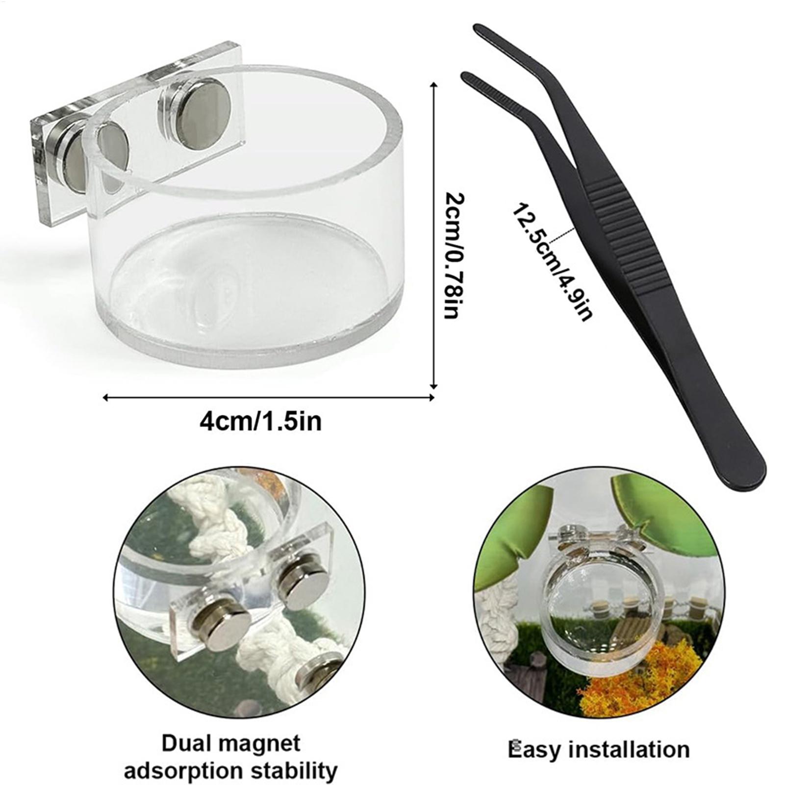 Magnetic Feeding Dish For Jump - Water Dish Reptile review and price
