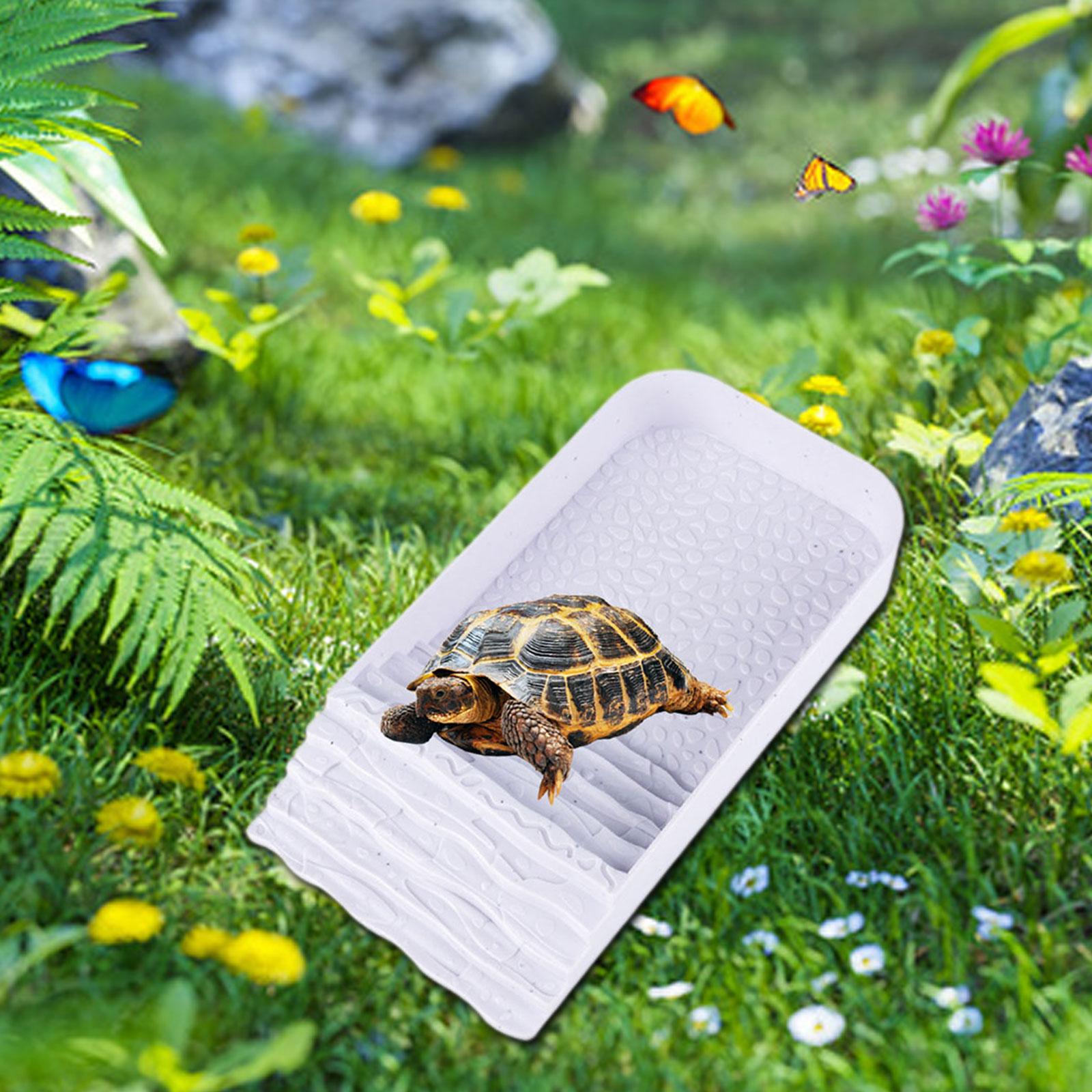 Tortoise Water Dish Multifunct - Water Dish Reptile review and price