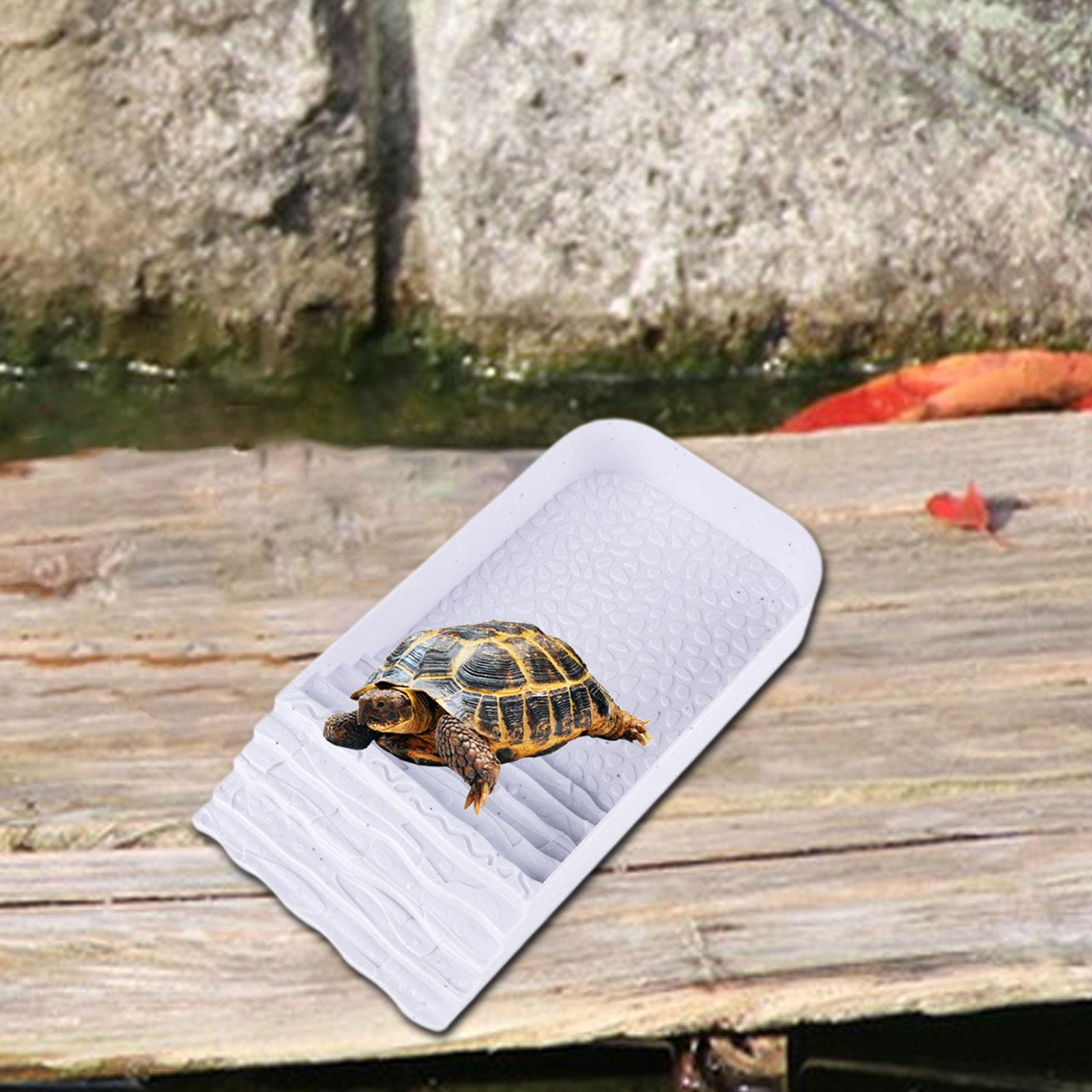 Tortoise Water Dish Multifunct - Water Dish Reptile review and price