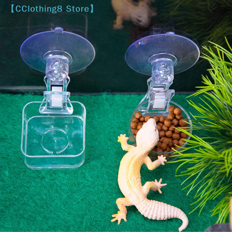 1Pcs Reptile Water Food Bowl S - Water Dish Reptile review and price
