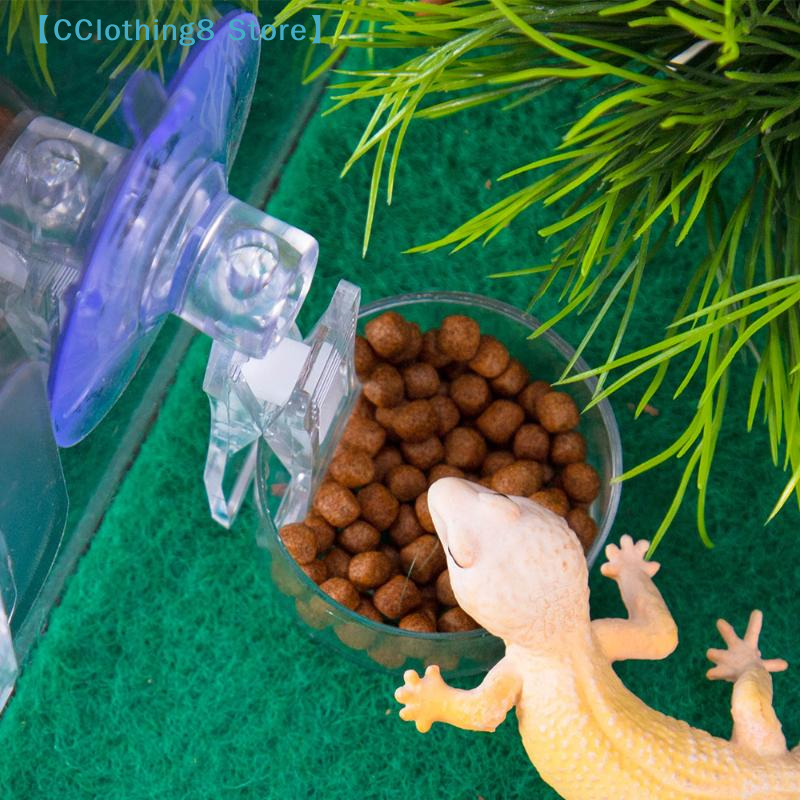 1Pcs Reptile Water Food Bowl S - Water Dish Reptile review and price