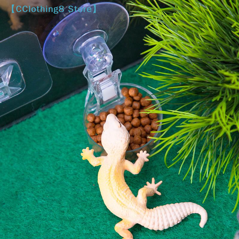 1Pcs Reptile Water Food Bowl S - Water Dish Reptile review and price