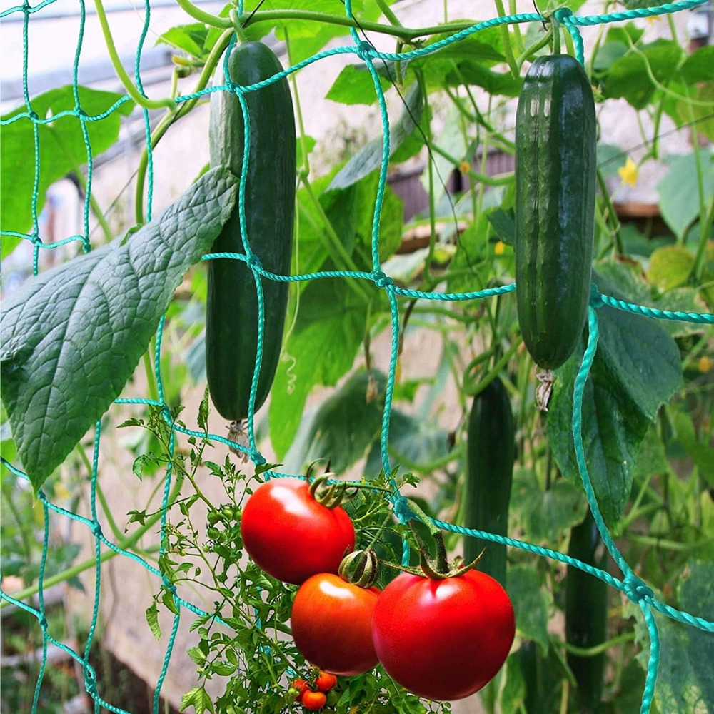 1pc Trellis Netting, Portable  - Vine Climbing Plastic review and price