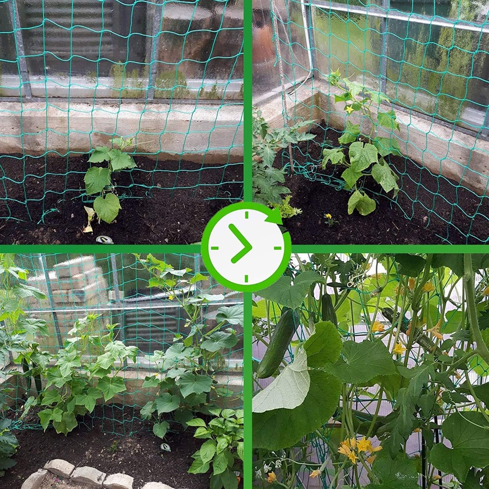 1pc Trellis Netting, Portable  - Vine Climbing Plastic review and price
