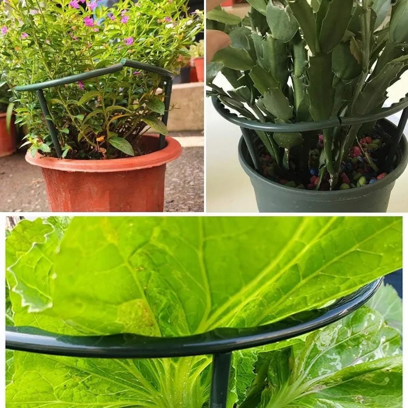 1-9set Plastic Plant Support P - Vine Climbing Plastic review and price