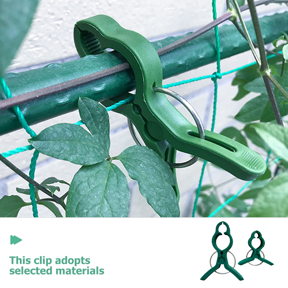 50Pcs Plant Support Clips Plas - Vine Climbing Plastic review and price