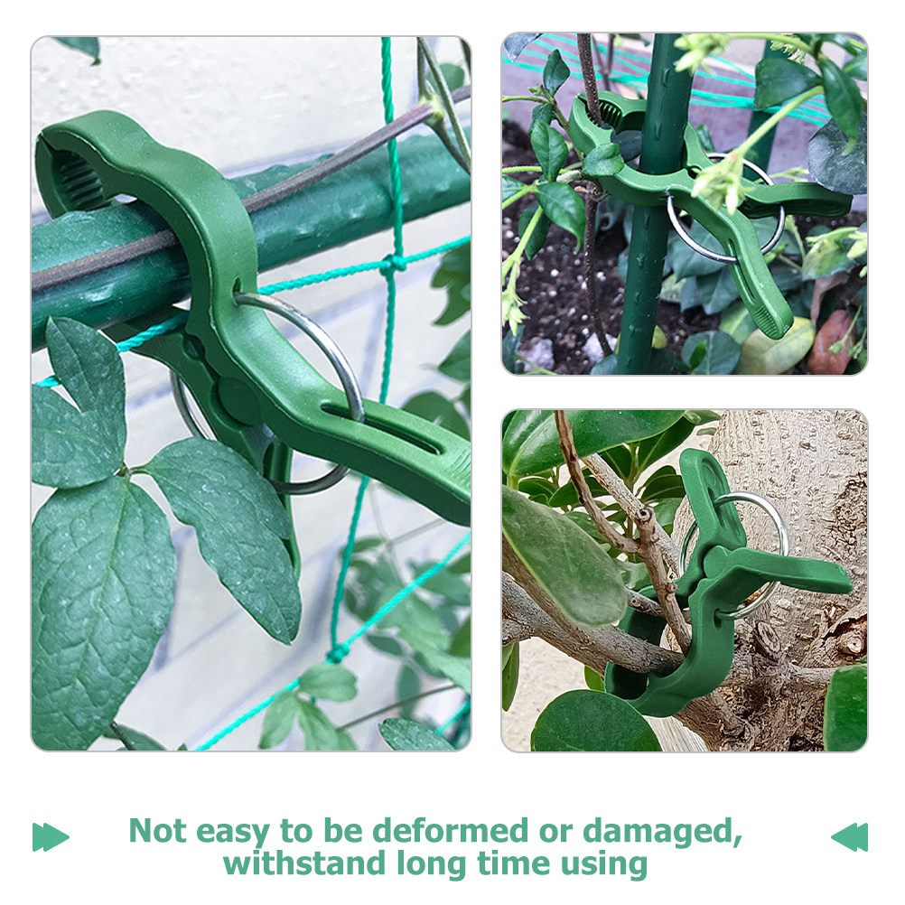 50Pcs Plant Support Clips Plas - Vine Climbing Plastic review and price