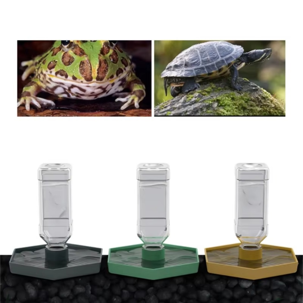 Feeding Supplies Automatic Tur - Water Dish Reptile review and price