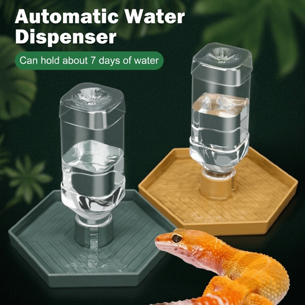 Feeding Supplies Automatic Tur - Water Dish Reptile review and price