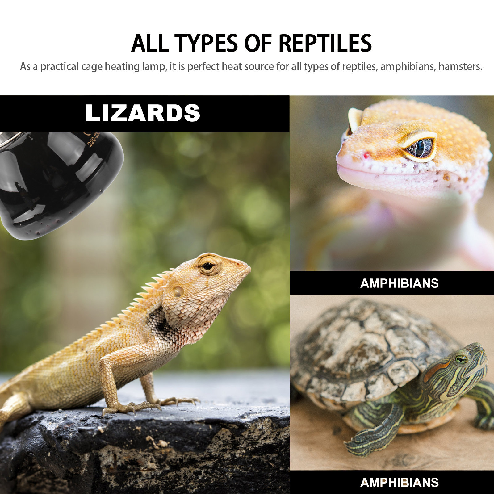 1Pcs 40W E27 Reptile Heat Ligh - Ceramic Heat Emitter review and price