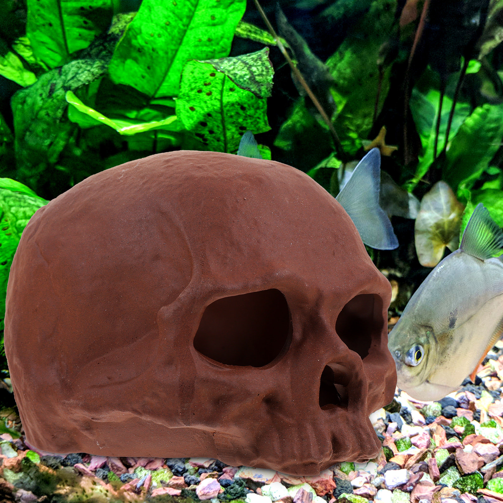 Ceramic Fish Tank Decoration S - Hide Cave Ceramic review and price