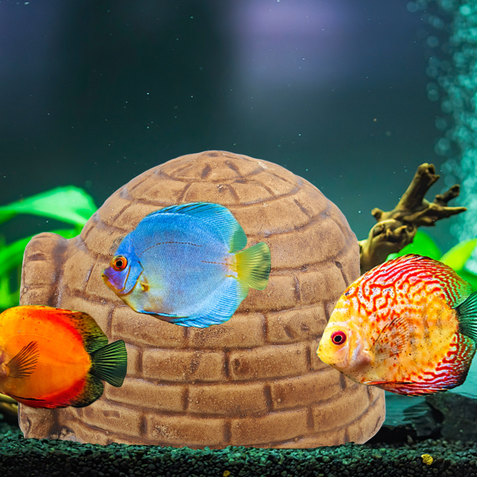 Pleco Caves for Aquarium Durab - Hide Cave Ceramic review and price