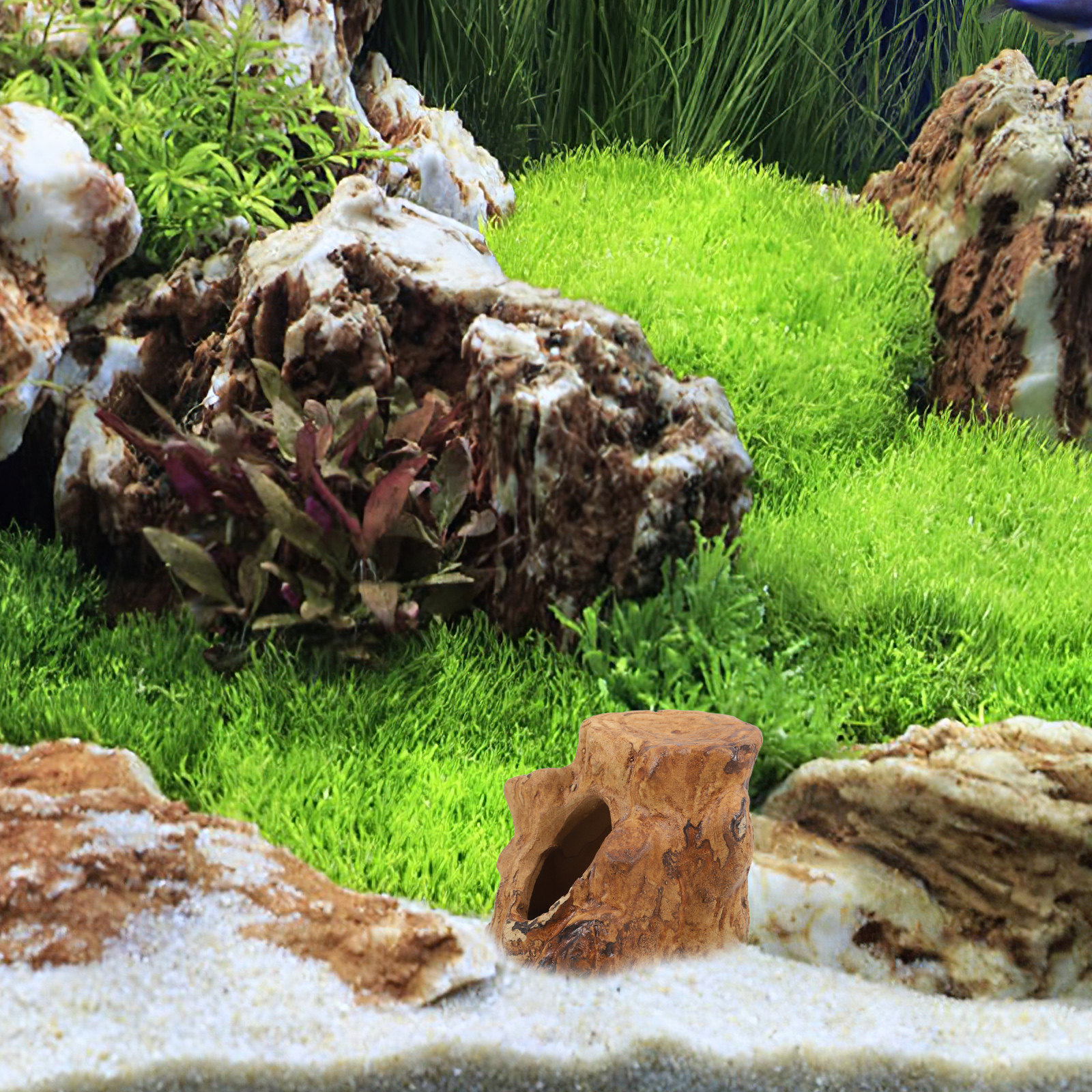 Natural-Looking Ceramic Fish T - Hide Cave Ceramic review and price