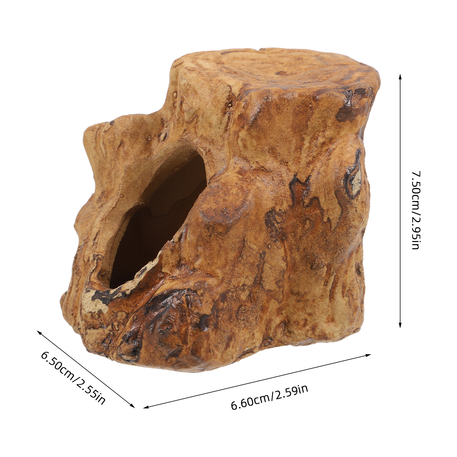Natural-Looking Ceramic Fish T - Hide Cave Ceramic review and price