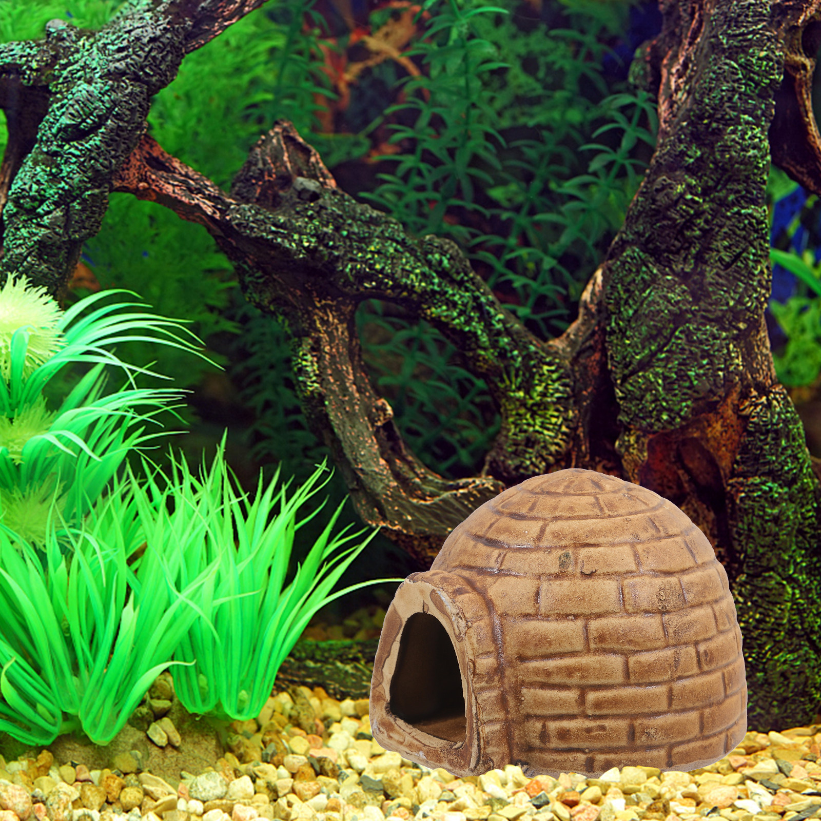 Ceramic Pleco Caves Aquarium F - Hide Cave Ceramic review and price
