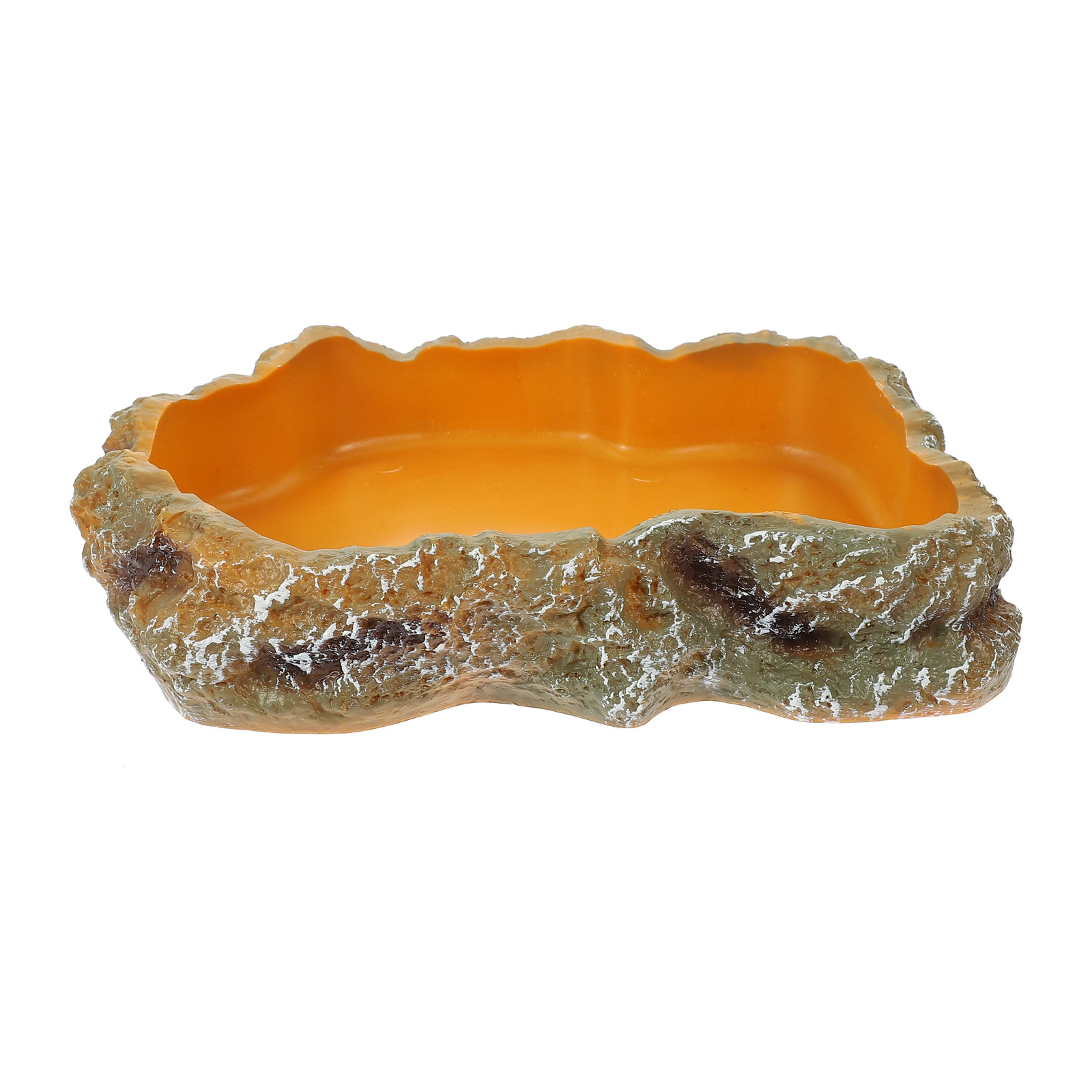 Reptile Food Basin Natural Col - Water Dish Reptile review and price